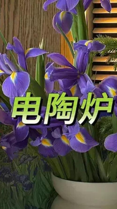 诺洁仕电陶炉故障代码e3是什么,电陶炉e3故障排除2024/6/