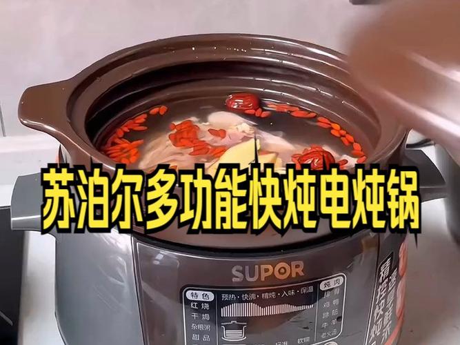 多功能电炖锅出现功能故障,电炖锅显示e1是什么意思2024/6/