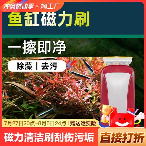 怎样去除水缸里的水垢,怎样去除水缸里的小虫子)